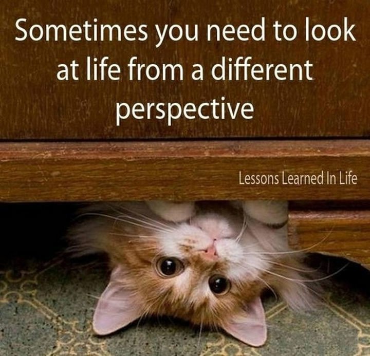 Quotes About Perspective: Seeing Life From Different Angles