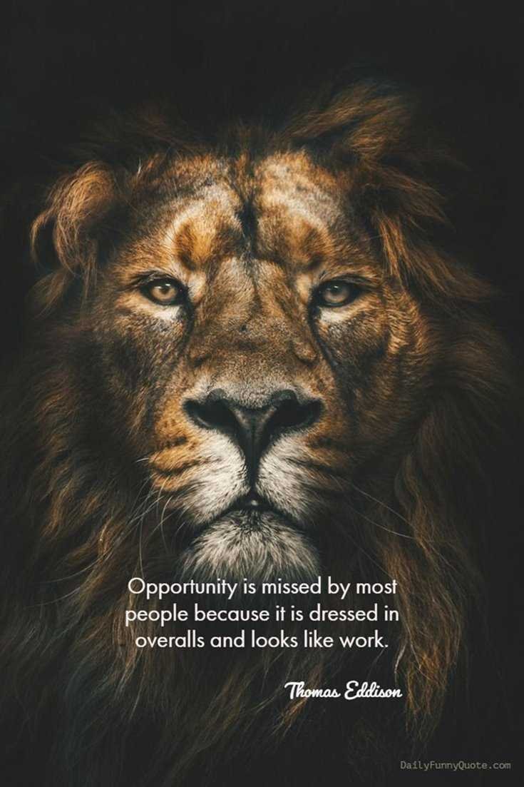 Quotes That Describe Me: Finding Yourself in Words