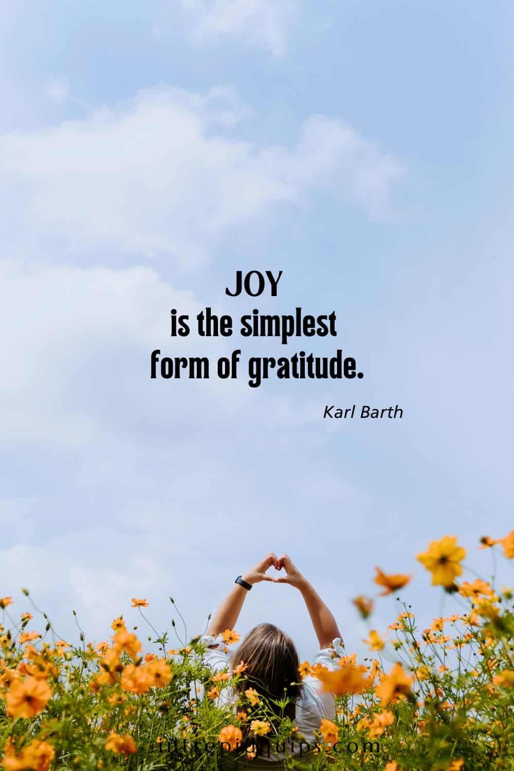 Short Quotes About Joy To Brighten Your Day