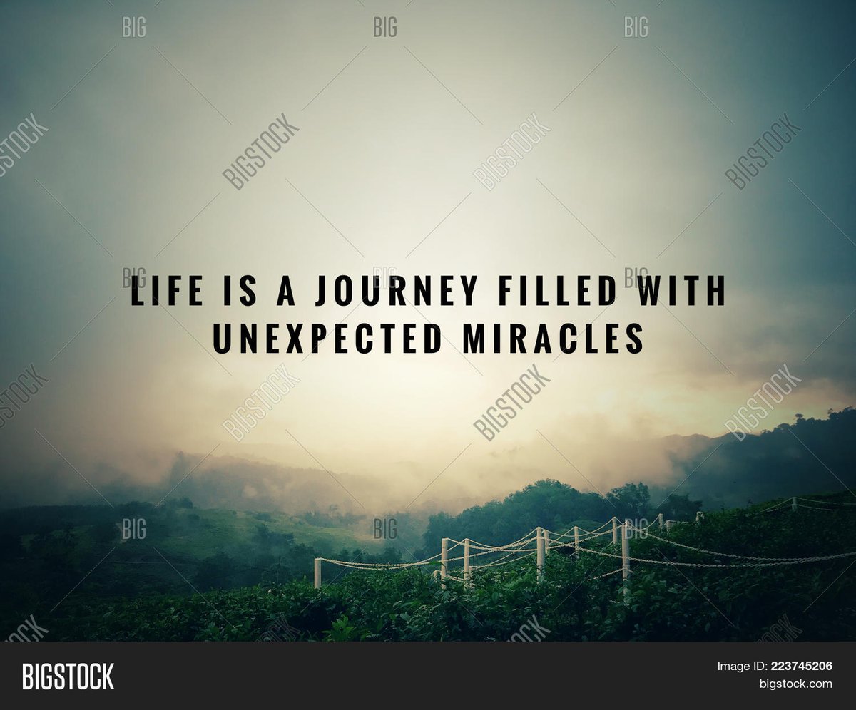 Taking a Trip: Insightful Quotes to Inspire Your Next Adventure