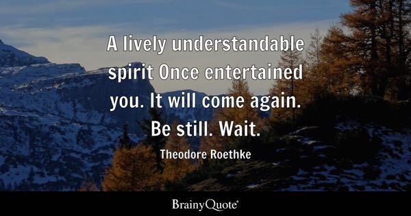 Understandable Quotes: Finding Clarity and Insight in Life